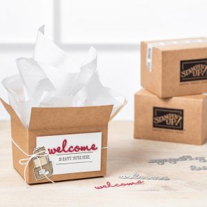 Demonstratorin bei Stampin' Up!, Starterpaket von Stampin' Up! für 120,- EUR